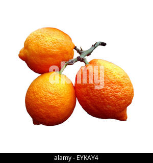 Limone; Limone, Rosso