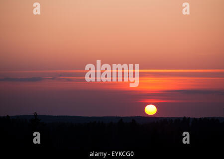 Sun impostazione sulla foresta Foto Stock