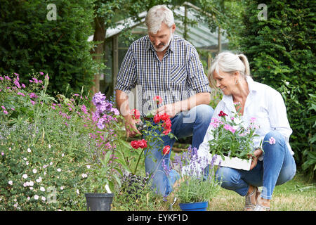 Coppia Matura Piantare piante fuori in giardino Foto Stock