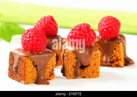 Morso dimensioni gingerbread piazze con liquido di cioccolato e lamponi freschi sulla parte superiore Foto Stock