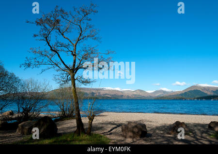 Loch Lomond da Rowardennan sulla sponda orientale. Rowardennan, Stirlingshire, Scotland, Regno Unito Foto Stock