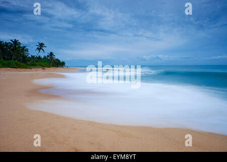 Sri Lanka, della Provincia Meridionale, South Coast Beach, Tangalle beach Foto Stock