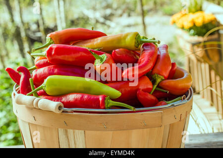 Hot banana i peperoni in un cestello di legno Foto Stock