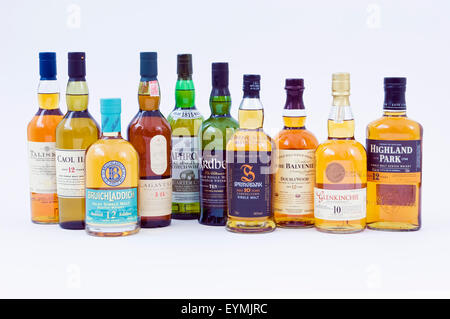 Una varietà di single malt Scotch whisky da tutti i principali tipi di whiskey di regioni produttrici in Scozia Foto Stock