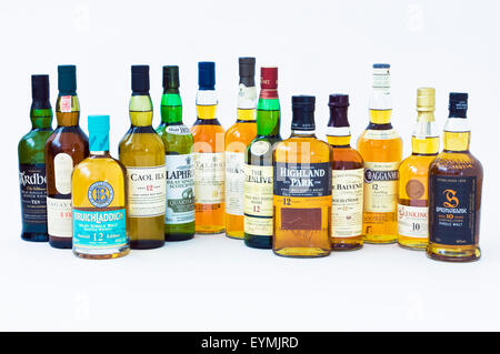 Una varietà di single malt Scotch whisky da tutti i principali tipi di whiskey di regioni produttrici in Scozia Foto Stock