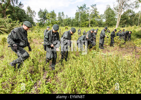 Riot Police Units esegue una ricerca in una zona boscosa di tracce degli scomparsi Annette L., chi è stato assente per 5 anni. Foto Stock