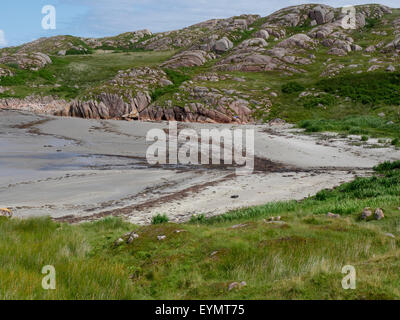 Fionnphort, Isle of Mull, Scozia, Luglio 2015 Foto Stock