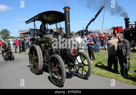 Alt Schwerin, Germania. 1 agosto, 2015. "Lena" il vapore trattore costruito da Wallis e Steevens nel 1905, in occasione dell'undicesima vapore internazionale riunisce in Alt Schwerin, Germania, 1 agosto 2015. Migliaia di visitatori sono venuti a vedere più di 100 grandi e piccoli motori a vapore. Foto: BERND WUESTNECK/DPA/Alamy Live News Foto Stock