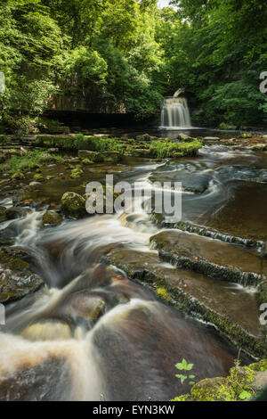 Una immagine di West Burton cade in Wensleydale, North Yorkshire. Foto Stock