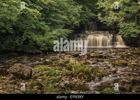 Un'immagine di forza elastica, una cascata in Wensleydale, North Yorkshire. Foto Stock