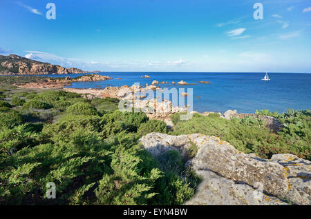 Costa Smeralda,Sardegna,Italia: rocce e mare vicino alla Spiaggia di Romazzino. Foto Stock