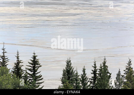 Rifiuti di miniera di sedimento nel recupero arginamento, Highland Valley miniera di rame, Logan Lago, British Columbia Foto Stock