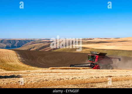 Una mietitrebbia la mietitura del frumento nella regione Palouse di Washington Foto Stock