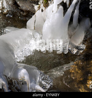 Eiszapfen, am Bachlauf Foto Stock