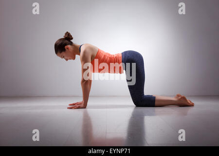 Bella sportiva montare yogi girl le pratiche yoga asana bitilasana Foto Stock