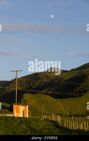 Piccola capanna e il polo di alimentazione su terreno coltivato, Glenburn, Wairarapa, Isola del nord, Nuova Zelanda Foto Stock