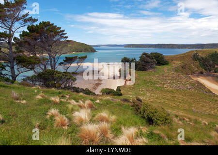 Vista Isola nativa da Stewart Island, monumento Wohlers lookout, Nuova Zelanda Foto Stock