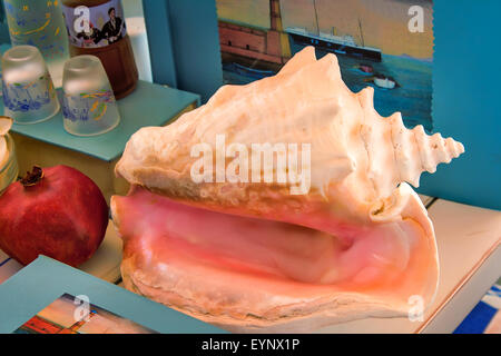 Ancora in vita: la tabella è un gran bel bianco-rosa conchiglia di mare, accanto a lei sono libri, granate, e altri elementi. Foto Stock
