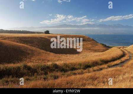 Viste dalla penisola di Kaikoura marciapiede, Canterbury, Nuova Zelanda Foto Stock