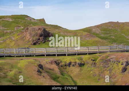 Il Parco Naturale di Phillip Island - Il BOARDWALK attraversando vellutato verde delle colline e gli affioramenti rocciosi, Victoria, Australia Foto Stock