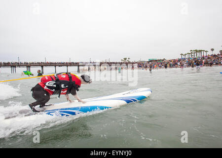 Imperial Beach, CA, Stati Uniti d'America. 1 agosto, 2015. Mondo FamoUSA scatenata dal Petco Surf cane la concorrenza. I cani concorrenti provenivano da tutto il paese per competere nella perfetta onde Imperial Beach. La spiaggia era affollata con su guardato, gli amanti del cane e surfers uguali. Ci sono stati più categorie da i cani di piccola taglia a grandi e un evento in tandem. Visto qui: Burri, razza Boston Terrier Credito: Daren Fentiman/ZUMA filo/Alamy Live News Foto Stock