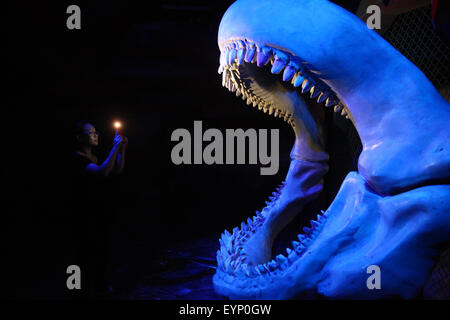 Tianjin, Cina. 1 agosto, 2015. Un visitatore prende la foto di un modello di squalo i denti all'Acquario polare di Tianjin, Cina del nord, e il Agosto 1, 2015. I visitatori possono trascorrere la notte all'acquario, osservando comportamenti notturni di creature marine. Credito: Li Xiang/Xinhua/Alamy Live News Foto Stock