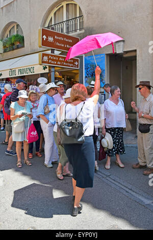 La guida del tour tiene l'ombrello rosa come indicatore di localizzazione per riunire un gruppo di turisti in una visita turistica della città francese ad Avignone, Francia e Provenza Foto Stock