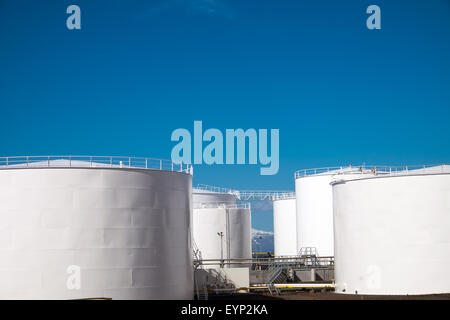 Gas di bianco i serbatoi di stoccaggio di fronte a un cielo blu Foto Stock