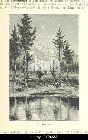 Immagine presa da pagina 337 di 'Die Alpen. Handbuch der gesammten Alpenkunde' immagine presa da pagina 337 di 'Die Alpen Handbuch der Foto Stock