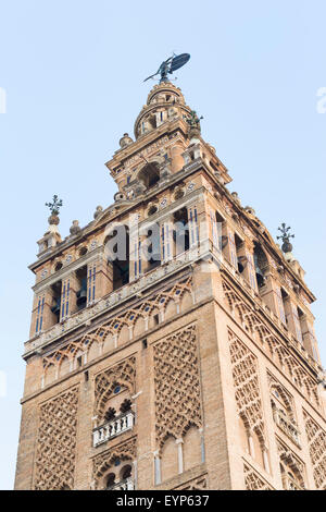 Una vista della Giralda torre campanaria del Duomo di Santa Maria del vedere a Siviglia, in Andalusia, Spagna Foto Stock