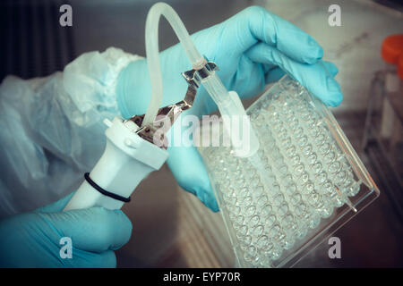 Tecnico di laboratorio lavora con pipetta multipozzetto, soft focus Foto Stock