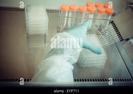 Tecnico di laboratorio lavora con pipetta multipozzetto, soft focus, vista dall'alto Foto Stock