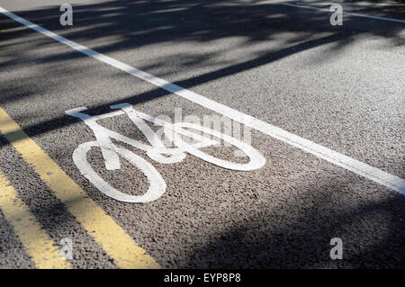 Pista ciclabile della segnaletica stradale e doppie linee di colore giallo Foto Stock