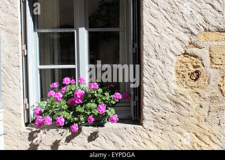 Gerani rosa sul davanzale in Francia Foto Stock