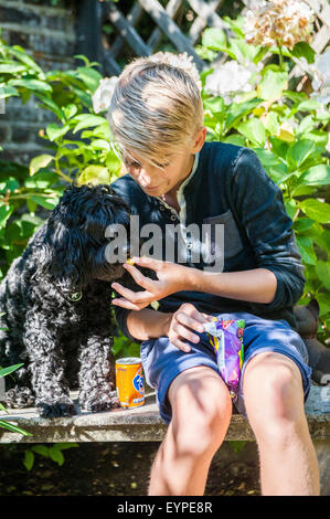 Un giovane biondo ragazzo di età intorno ai 12 anni si siede su una panchina al sole con il suo cane cucciolo e condivide la sua merenda con esso Foto Stock