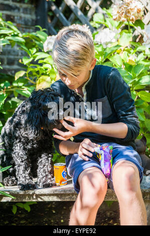 Un giovane biondo ragazzo di età intorno ai 12 anni si siede su una panchina al sole con il suo cane cucciolo e condivide la sua merenda con esso Foto Stock