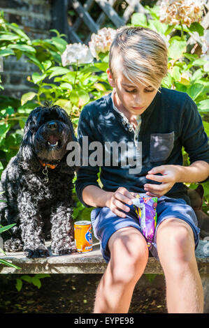 Un giovane biondo ragazzo di età intorno ai 12 anni si siede su una panchina al sole con il suo cane cucciolo e condivide la sua merenda con esso Foto Stock