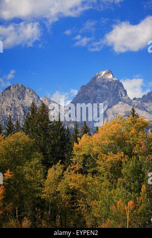 Tetons in autunno come visto nel Parco Nazionale di Grand Teton, Wyoming Foto Stock