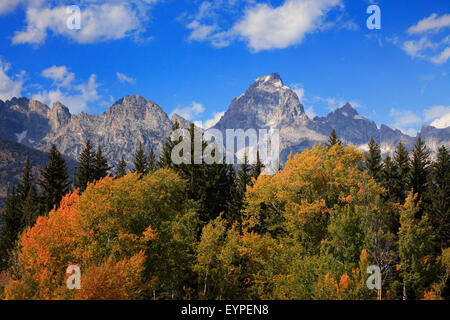 Tetons in autunno come visto nel Parco Nazionale di Grand Teton, Wyoming Foto Stock