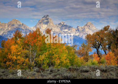 Tetons in autunno come visto nel Parco Nazionale di Grand Teton, Wyoming Foto Stock