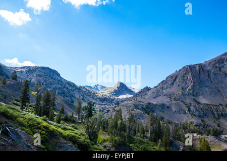 California State Route 108 Sonora passata in Agosto 2015 uno dei pochi percorsi su montagne della Sierra Nevada Foto Stock