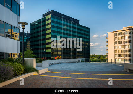 Libertà Park e moderni edifici in Rosslyn, Arlington, Virginia. Foto Stock