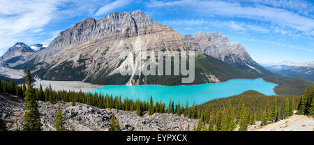 Panorama del Lago Peyto il Parco Nazionale di Banff Alberta Canada Foto Stock