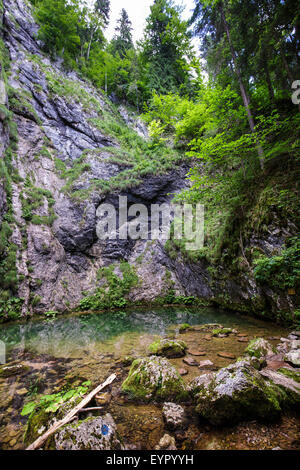 Izbucul Tauzului, molla carsici e grotte subacquee in Romania, Apuseni parco nazionale Foto Stock