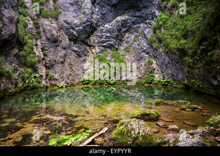 Izbucul Tauzului, molla carsici e grotte subacquee in Romania, Apuseni parco nazionale Foto Stock