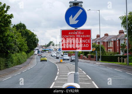 Preston, Lancashire, Regno Unito. L influenza aviaria cartello segnaletico su Preston Street. Foto Stock