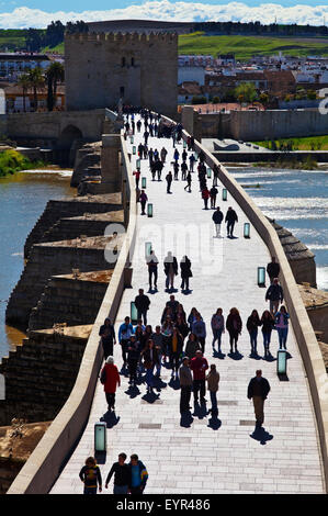 Il XII secolo torre di Calahorra sul lato opposto del fiume Guadalquivir e il I secolo a.c. ponte romano di Córdoba, Córdoba, Andalusia, Foto Stock