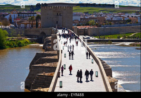 Il XII secolo torre di Calahorra sul lato opposto del fiume Guadalquivir e il I secolo a.c. ponte romano di Córdoba, Córdoba, Andalusia, Foto Stock