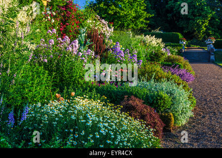 Confine erbacee sotto la terrazza della struttura Bowood House nel Wiltshire. Foto Stock