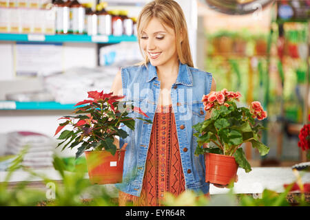 Donna sorridente confrontando poinsettia e begonia in un vivaio Foto Stock